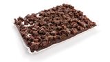 BROWNIE TRAY CHOC SALTED CARAMEL