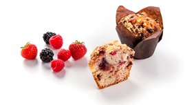 Muffin multiseed forest fruit